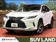 2019 LEXUS RX
