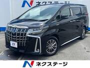 2018 TOYOTA ALPHARD HYBRID EXECUTIVE LOUNGE S