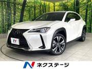2021 LEXUS UX