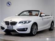 2019 BMW 2 SERIES