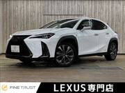 2019 LEXUS UX