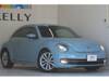 VOLKSWAGEN THE BEETLE