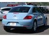 VOLKSWAGEN THE BEETLE