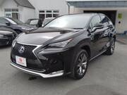 2014 LEXUS NX