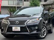 2013 LEXUS RX
