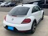 VOLKSWAGEN THE BEETLE