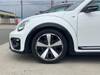 VOLKSWAGEN THE BEETLE