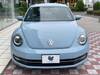 VOLKSWAGEN THE BEETLE