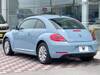 VOLKSWAGEN THE BEETLE