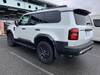 TOYOTA LANDCRUISER 250