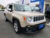 CHRYSLER JEEP RENEGADE