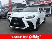 2025 LEXUS NX