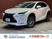 2015 LEXUS NX