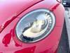 VOLKSWAGEN THE BEETLE