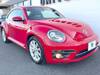 VOLKSWAGEN THE BEETLE