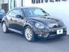 VOLKSWAGEN THE BEETLE