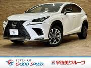 2018 LEXUS NX