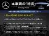 MERCEDES BENZ OTHER