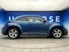 VOLKSWAGEN THE BEETLE