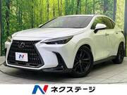 2022 LEXUS NX
