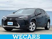 2020 LEXUS UX