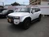 TOYOTA LANDCRUISER 250