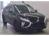 MITSUBISHI OTHER