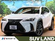 2021 LEXUS UX