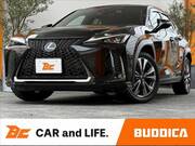 2019 LEXUS UX