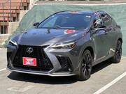 2023 LEXUS NX