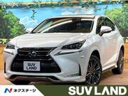 2015 LEXUS NX
