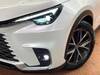 LEXUS OTHER