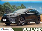 2020 LEXUS NX