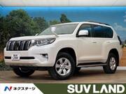2019 TOYOTA LAND CRUISER PRADO TX
