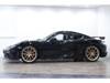 PORSCHE OTHER