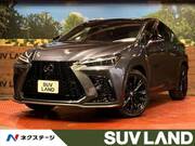 2023 LEXUS NX