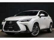 2024 LEXUS NX