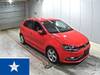 OTHER POLO