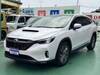SUBARU OTHER