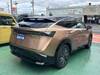 NISSAN OTHER