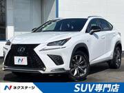 2019 LEXUS NX