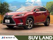 2020 LEXUS NX