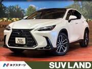 2023 LEXUS NX