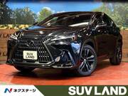 2023 LEXUS NX