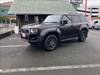 TOYOTA LANDCRUISER 250