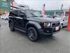 TOYOTA LANDCRUISER 250
