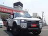 TOYOTA LANDCRUISER 250