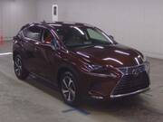 2019 LEXUS NX