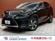 2019 LEXUS NX