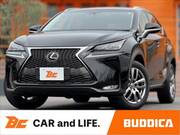 2014 LEXUS NX